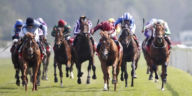 Horse Racing Preview