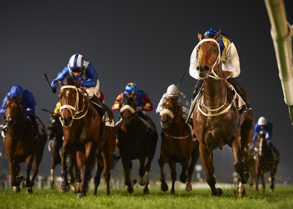 Meydan Dubai Horse Racing Preview