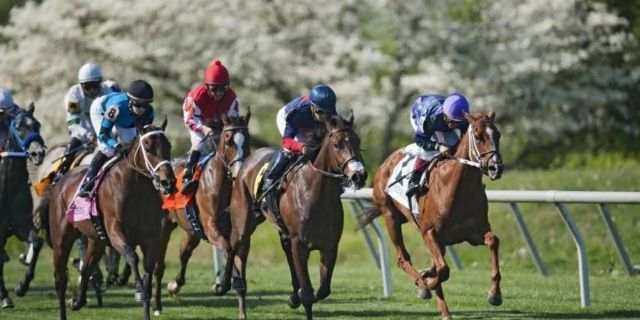 Horse Racing Preview 9th April 2017