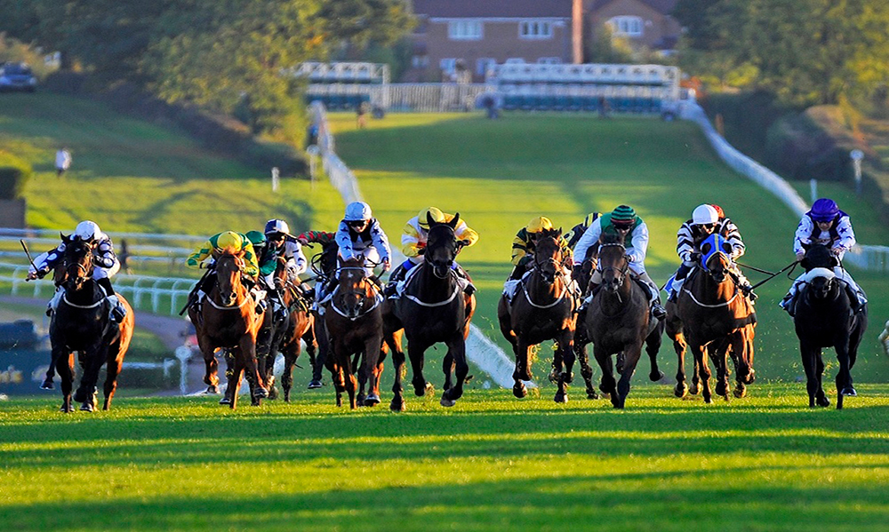 Horse Racing Preview - Newmarket - 3rd November 2017