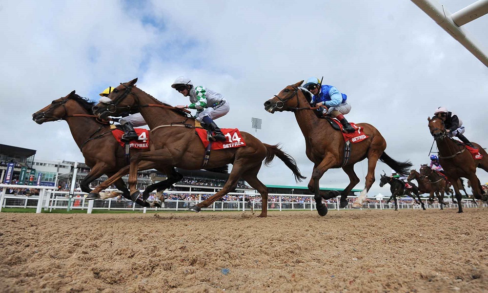 Daily Horse Racing Pro Tips - 3rd October 2017