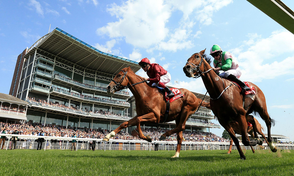 Horse Racing Preview - Haydock & Ascot - 8th September 2017