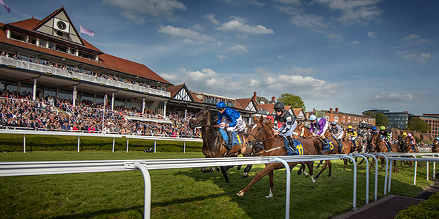 Daily Horse Racing Pro Tips - 13th July 2017