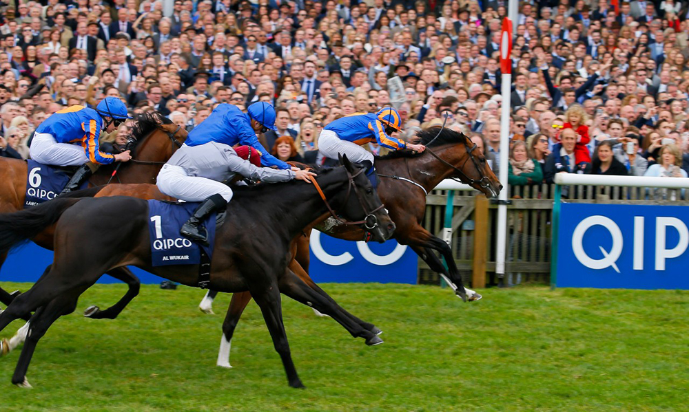 tips 1000 guineas betting