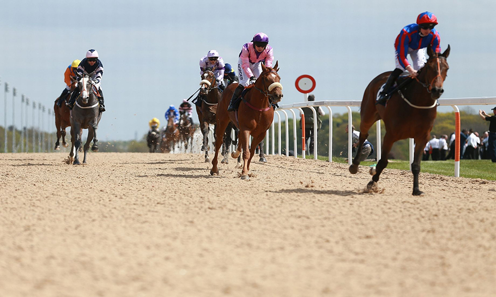 Horse Racing Pro Tips