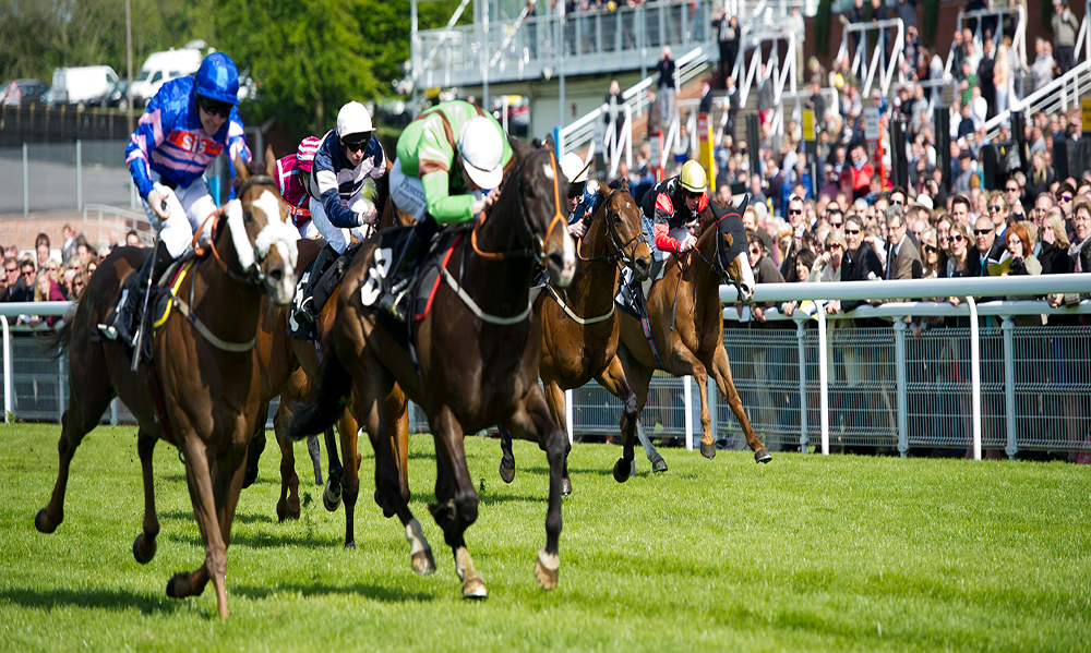 Daily Horse Racing Pro Tips - 15th September 2017
