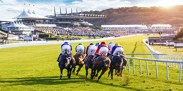 Horse Racing Preview - Goodwood - 1st August 2017