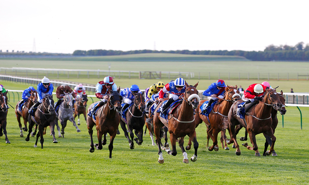 Horse Racing Preview - Newmarket - 30th September 2017