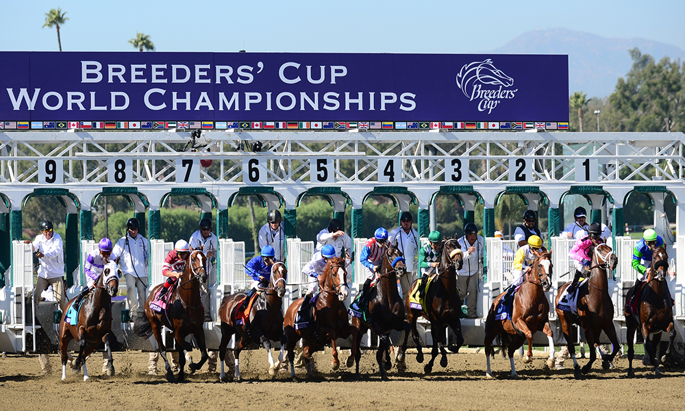 Horse Racing Preview - Breeders Cup - 4th November 2017